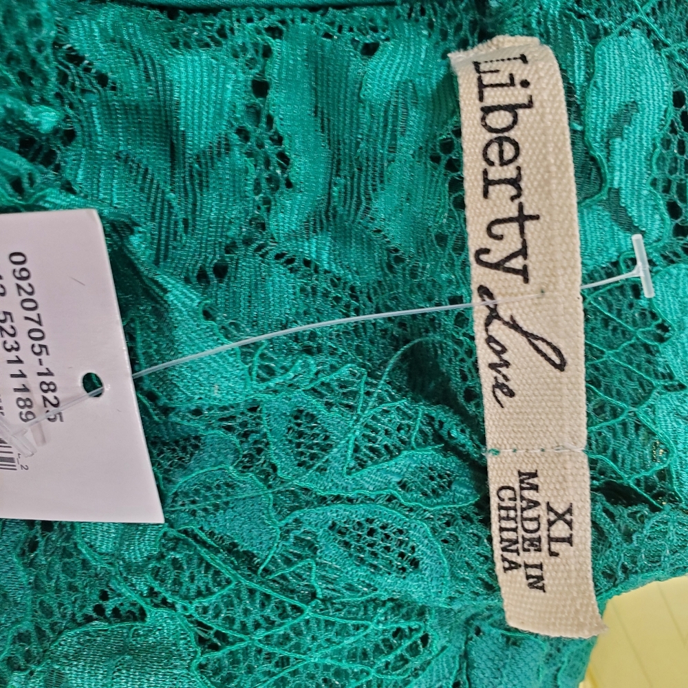 Liberty Love Emerald Green Lace A-Line Sleeveless Dress Size XL NWT - Picture 7 of 10
